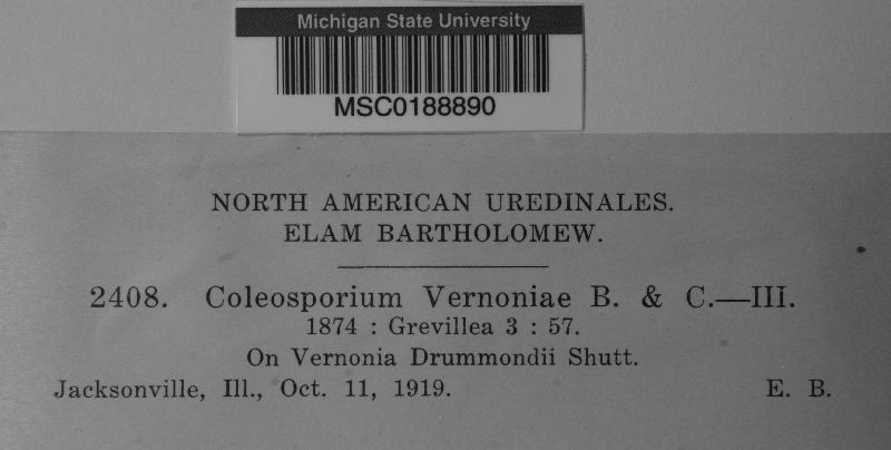 Coleosporium vernoniae image