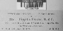 Piggotia fraxini image