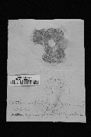 Cortinarius cinnabarinus image