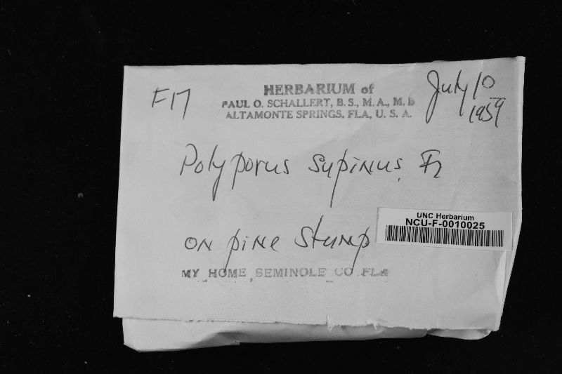 Fomitella supina image