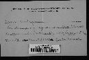 Irpex ambiguus image
