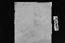 Phellodon melaleucus image