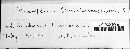 Microsphaera grossulariae image