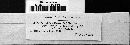 Aecidium iridis image