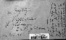 Gymnosporangium globosum image
