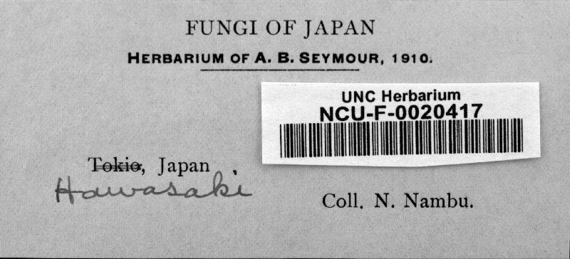 Gymnosporangium japonicum image