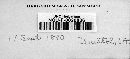 Puccinia epilobii image