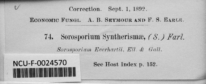 Sorosporium everhartii image