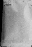 Septobasidium lilacinoalbum image