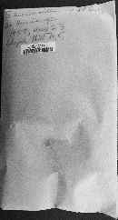 Septobasidium lilacinoalbum image