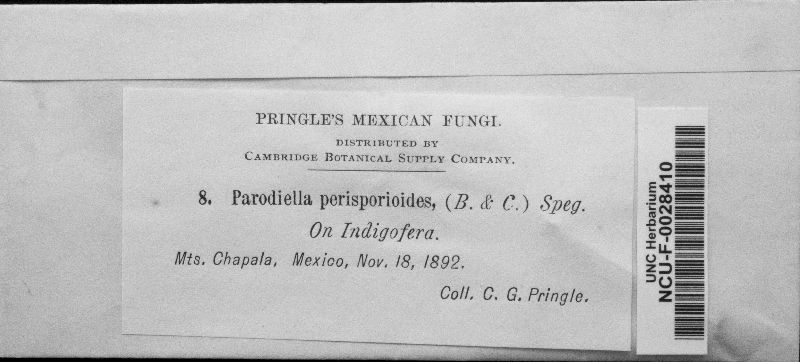 Parodiellaceae image