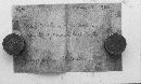 Fuligo septica image
