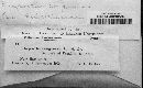 Diaporthe congener image
