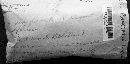 Gyroporus ballouii image