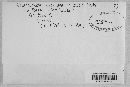 Arthuriomyces peckianus image