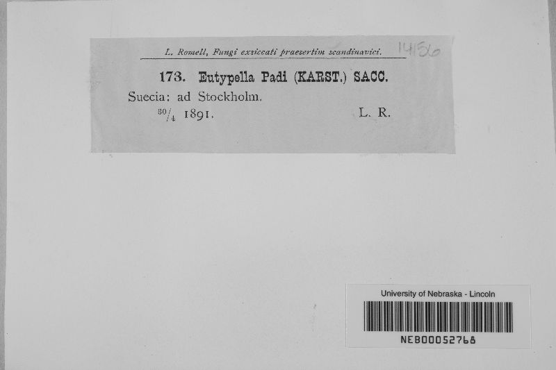 Eutypella padi image