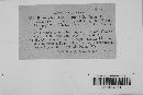 Hypoxylon fragiforme image