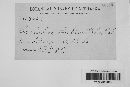Patellaria atrata image