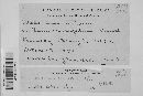 Melampsora lini image