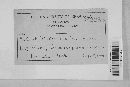 Phomopsis vexans image