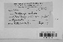 Pseudopeziza medicaginis image