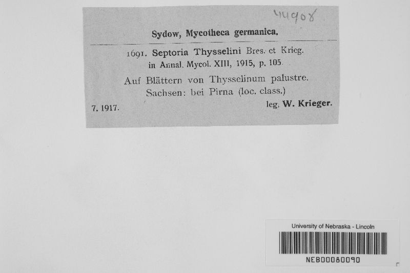 Septoria thysselini image