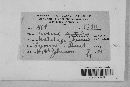 Ustilago avenae image