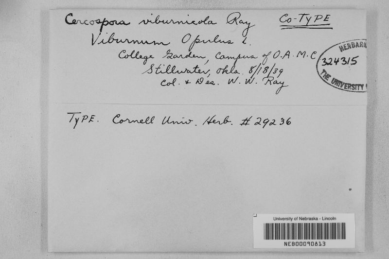 Cercospora viburnicola image
