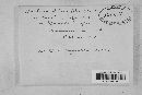 Eudarluca caricis image