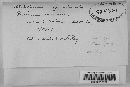 Glomerella graminicola image