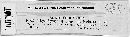 Physoderma magnusianum image