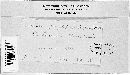 Bremia lactucae image