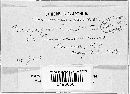 Peronospora ficariae image