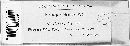 Peronospora ficariae image