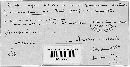 Protomyces fuscus image