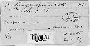 Protomyces fuscus image