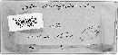 Valsa diatrypoides image