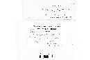 Podosphaera kunzei image