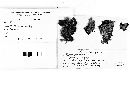 Nectriopsis lecanodes image