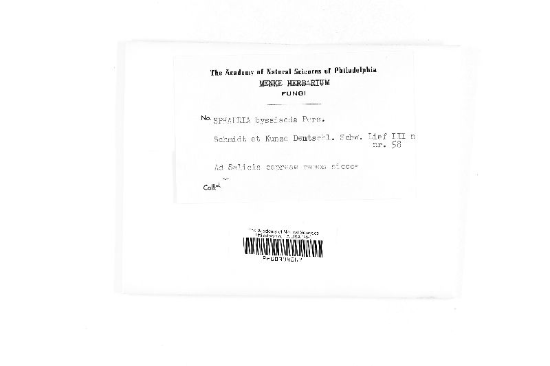 Rosellinia aquila image