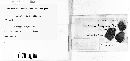 Diatrype stigma image