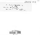 Amphilogia gyrosa image