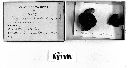 Annulohypoxylon thouarsianum var. thouarsianum image