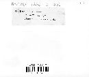 Steccherinum ochraceum image