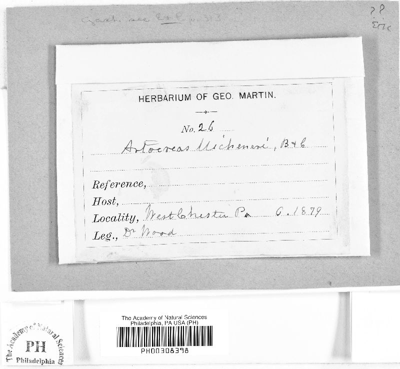 Artocreas micheneri image
