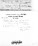 Rabenhorstia tiliae image