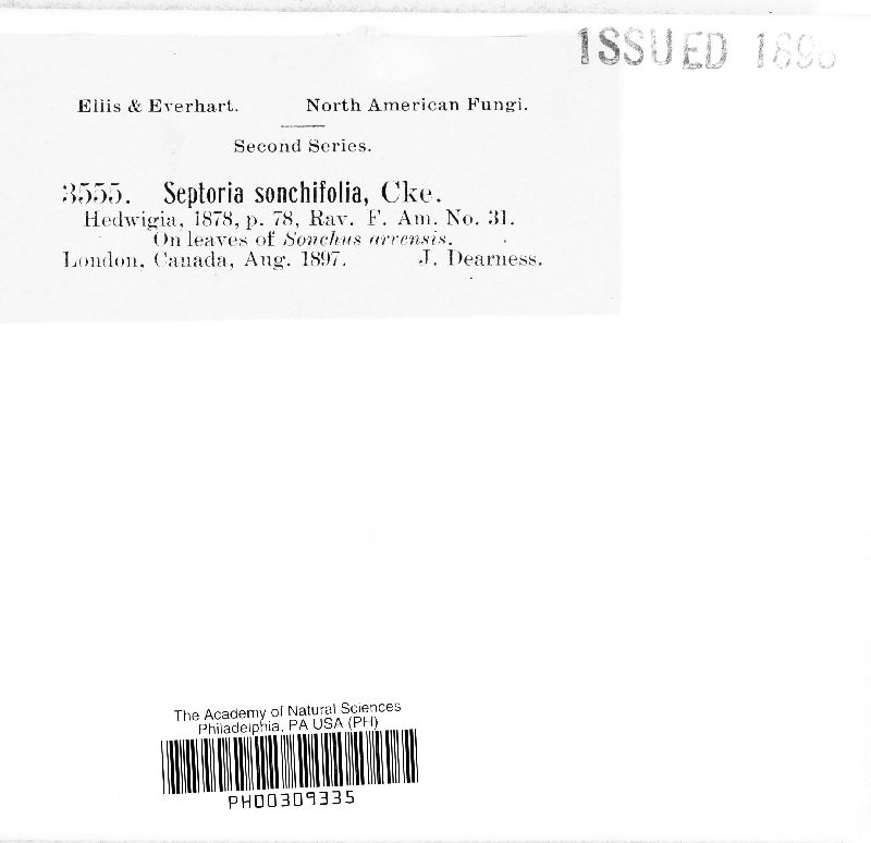 Septoria sonchifolia image