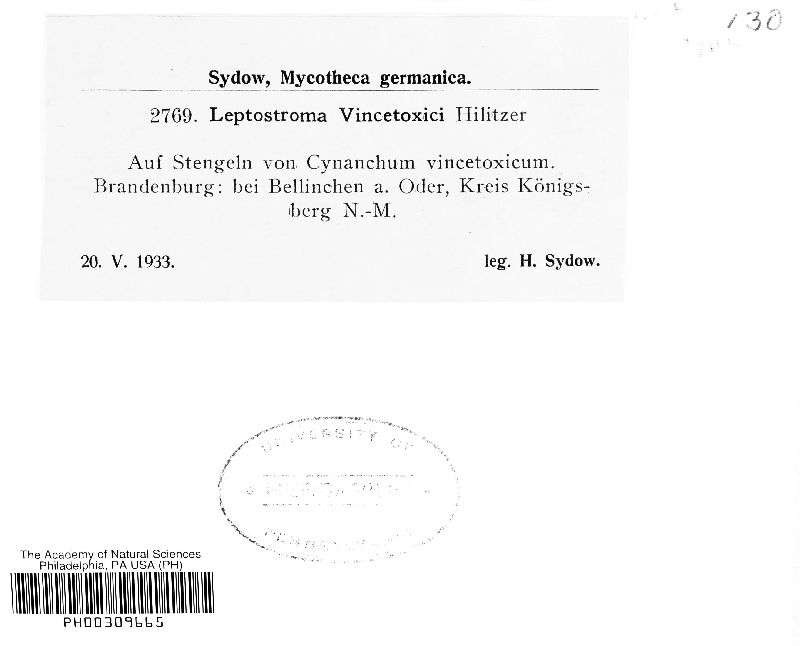 Leptostroma vincetoxici image