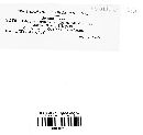 Gloeosporium aridum image