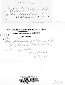 Hendersonia foliorum image